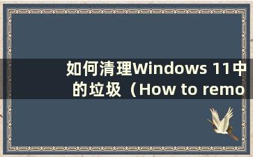 如何清理Windows 11中的垃圾（How to remove rogue software in Windows 11）